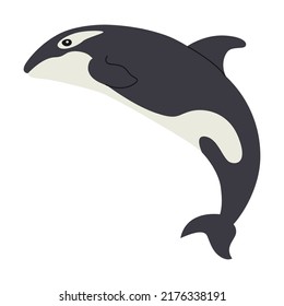 Spotted killer whale. Cute arctic animal cartoon character vector illustration. Polar bear, penguin, seal, hare, owl, killer whale, fauna of North Pole isolated on white