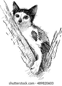 spotted kitten on a tree