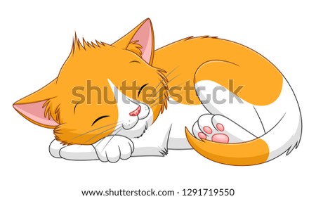 Spotted kitten sleeps