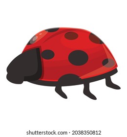 Spotted ladybug icon cartoon vector. Ladybird beetle. Bug insect