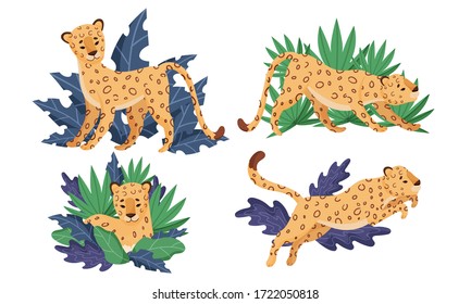 Spotted Leopard in Standing and Jumping Pose Vector Set