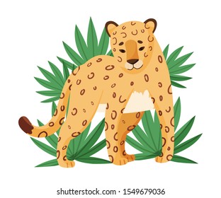 Spotted Leopard Stop Dead Looking Ahead Near Tropical Leaves Vector Illustration