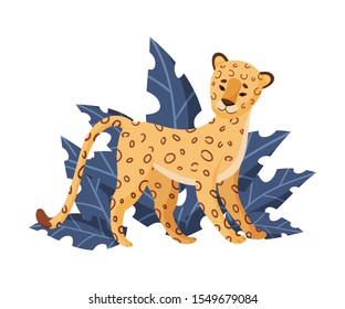 Spotted Leopard Stop Dead Looking Ahead Near Tropical Leaves Vector Illustration