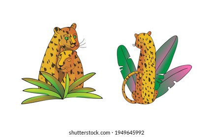 Spotted Leopard with Yellowish Skin and Long Body Sitting in Tropical Leaves Vector Set