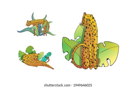 Spotted Leopard with Yellowish Skin and Long Body Lying in Tropical Leaves Vector Set
