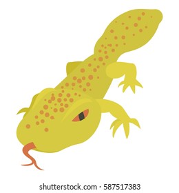 Spotted lizard icon. Cartoon illustration of spotted lizard vector icon for web