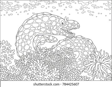 A spotted moray swimming on a coral reef in a tropical sea, a black and white vector illustration in cartoon style