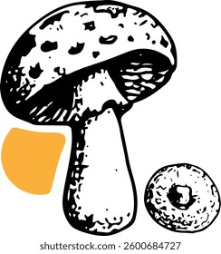 Spotted Mushroom Illustration, Detailed Black and White Mushroom Illustration with Orange Accent