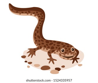 spotted newt, triton lies at bottom and smiles