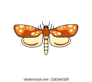 Spotted nocturnal moth, butterfly and moth, logo design. Flying insects, nature, entomology and entomological, vector design and illustration