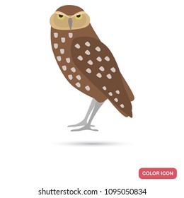 Spotted owl color flat icon