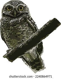 Spotted owlet that are designed as illustrations can be used to assemble documents.