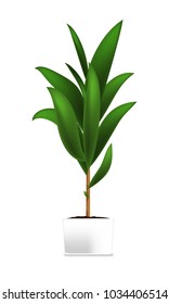 Spotted plant in the white pot. Element of home decor. The symbol of growth and ecology. Vector illustration. Eps 10