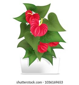 Spotted plant in the white pot. Element of home decor. The symbol of growth and ecology. Vector illustration. Eps 10