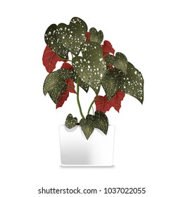 Spotted plant in a white pot. Element of home decor. The symbol of growth and ecology. Vector illustration. Eps 10