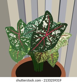 Plantas localizadas en macetas separadas sobre un fondo de pared de color gris crema