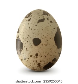 Spotted quail egg with soft shadows isolated on white background. Healthy Food Products Concept. Realistic 3D vector illustration