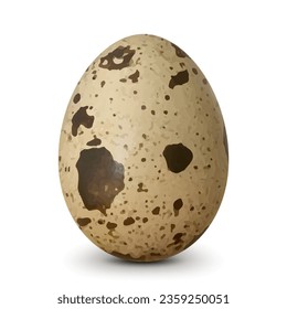 Spotted quail egg with soft shadows isolated on white background. Healthy Food Products Concept. Realistic 3D vector illustration