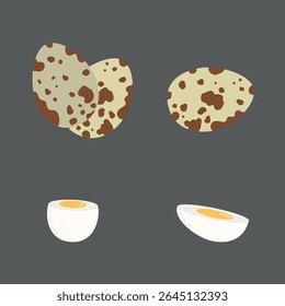Spotted quail eggs design with a boiled ready to eat eggs on grey background. Hand drawn vector illustration in flat style. Farm concept, breakfast design, cooking ingredient