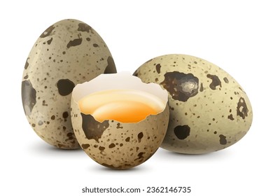 Spotted quail eggs whole and half broken egg with a yolk isolated on a white background. White сhicken egg smashed. Healthy diet. Realistic 3d vector illustration