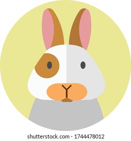 Rabbit Face Cartoon Hd Stock Images Shutterstock