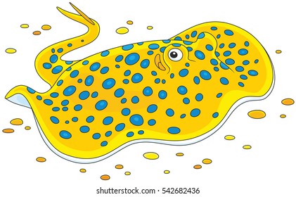 Spotted ray