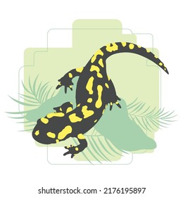 Gespeicherte Salamander-Illustration, Vektordesign. Dschungeltierserie. Waldreptilien.