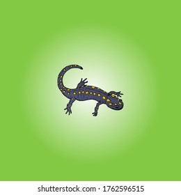 Una salamandra descubierta moviéndose por ahí. Ilustración vectorial.