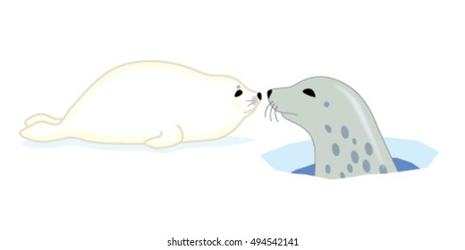 Spotted seal family, isolated on white background.