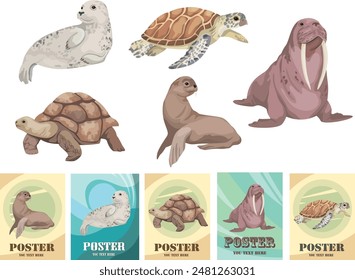 spotted seal, walrus, seal, turtle, 
tortoises