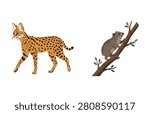 Spotted serval wild cat and climbing koala on tree branch vector set isolated illustration.