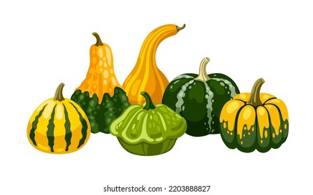 Spotted textured hand drawn decorative gourd  squash   pumpkins  Autumn horizontal still life  decorative composition  Vector cartoon illustration 