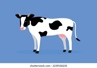 Spotted white cow, side view