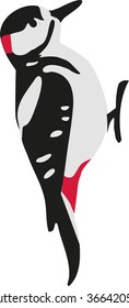 Spotted woodpecker