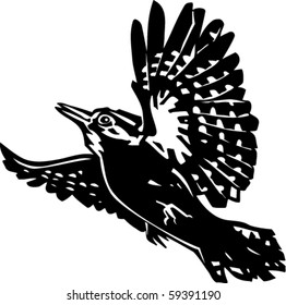Spotted Woodpecker Vector Illustration
