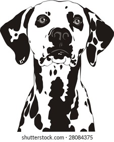 Spotty Dog Trailing Ears Stock Vector (Royalty Free) 28084375 ...