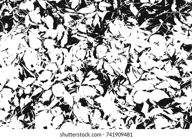 Spotty surface. White and black background.