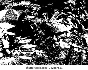 Spotty surface. White, black background.