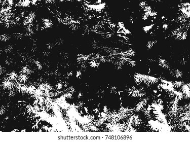 Spotty surface. White and black background.