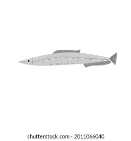 sprat. fish on a white background. gray fish