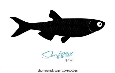 Sprat sketch vector fish icon. Isolated marine atlantic ocean sprats.
