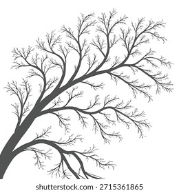 Sprawling silhouette of a bare tree with delicate branches on a white background Keywords: tree, bare tree, silhouette, branches, winter, nature