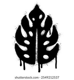 Spray Painted Graffiti monstera leaf isolated on white background.