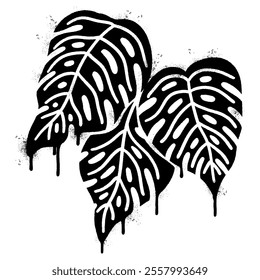 Spray Painted Graffiti monstera leaf isolated on white background.