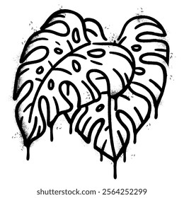 Spray Painted Graffiti monstera leaf isolated on white background.