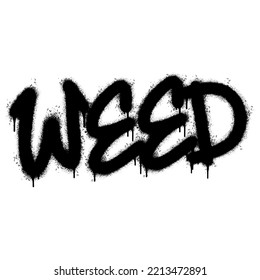 Spray Painted Graffiti Weed Word Sprayed isolated with a white background. graffiti font Weed with over spray in black over white. Vector illustration.