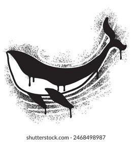 Spray Painted Graffiti whale icon Sprayed isolated with a white background.