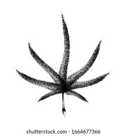 Sprayed cannabis leaf graffiti icon with overspray in black over white. Vector illustration.