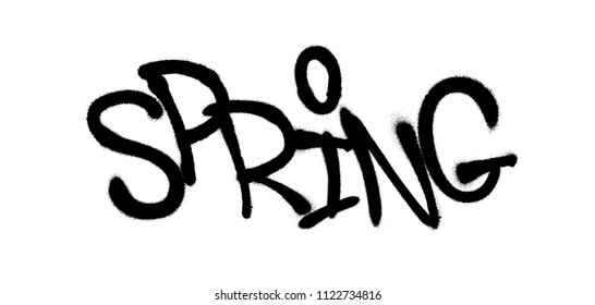 Sprayed spring font graffiti with overspray in black over white. Vector graffiti art illustration.