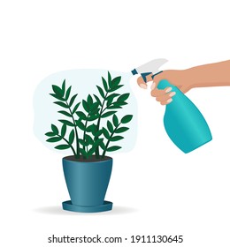 Spraying a harp plant. Spray in hand. Vector illustration